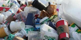 Decoding Medical Waste: Types, Disposal, and Safe Handling