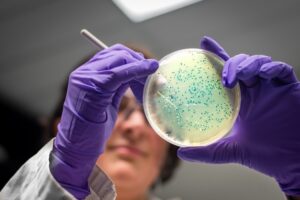 Poluição Farmacêutica e o Surgimento de Superbactérias Riscos à Saúde e Alertas Globais